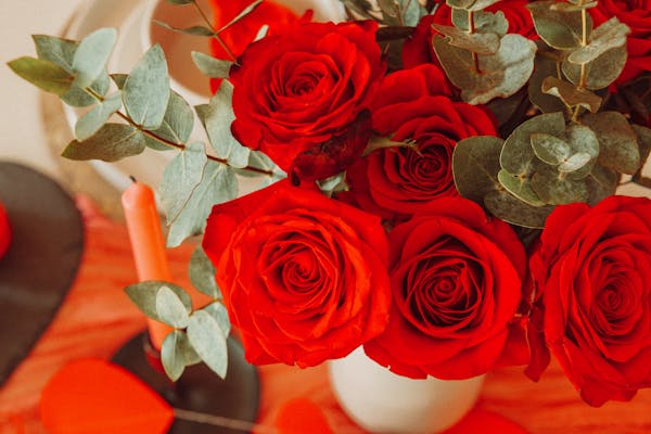 Bulk wholesale roses in 50+ colors for weddings and events — Fresh Flower Wholesale Santa Fe Springs
